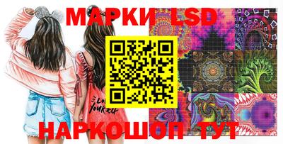 гидра Заводоуковск