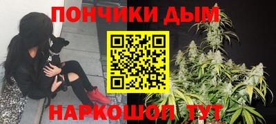 гидра Заводоуковск