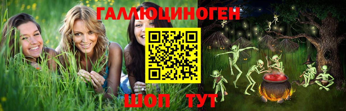 Малгобек  Псилоцибиновые грибы мицелий  Псилоцибиновые грибы Psilocybe  Вход с VPN 