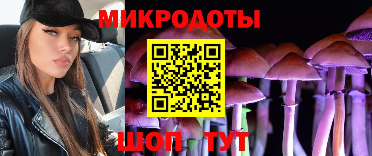 Псилоцибиновые грибы Psilocybe Малгобек